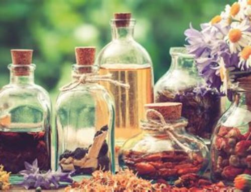 Ateliers de Dégustation Olfactive : le Parfum à fleur de Nez